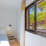 Casa La Rosa Papagayo Irentfuerteventura Corralejo